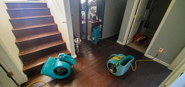 Best 24/7 water damage repair  in Florence, TX