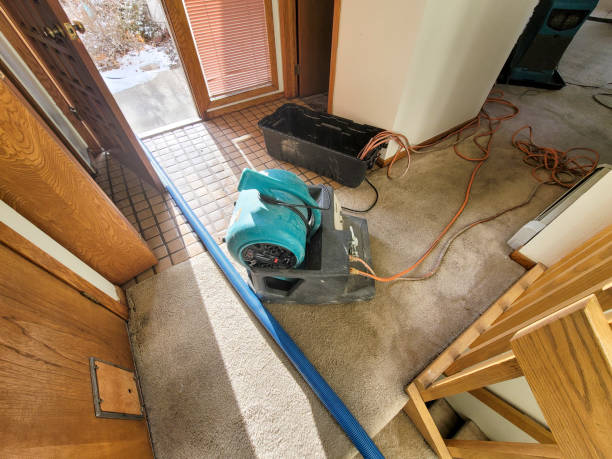 Best Commercial water damage restoration  in Florence, TX