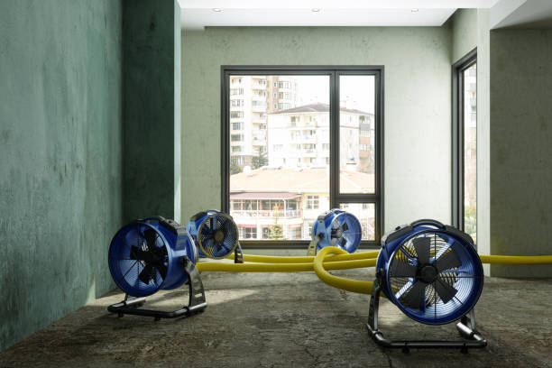 Best Sewage cleanup and water damage restoration  in Florence, TX